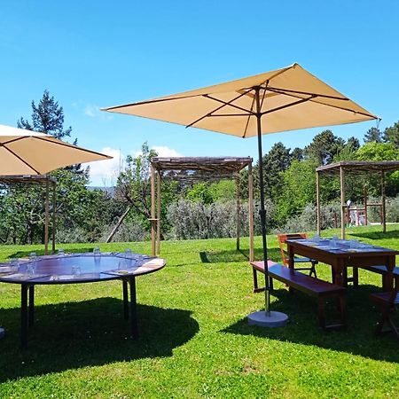 Massa e Cozzile Agriturismo Da Nonna Argia מראה חיצוני תמונה