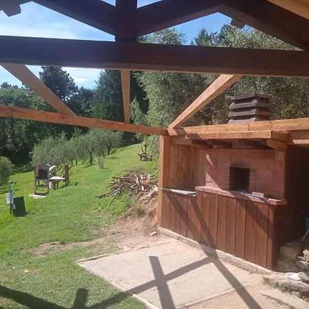Massa e Cozzile Agriturismo Da Nonna Argia מראה חיצוני תמונה