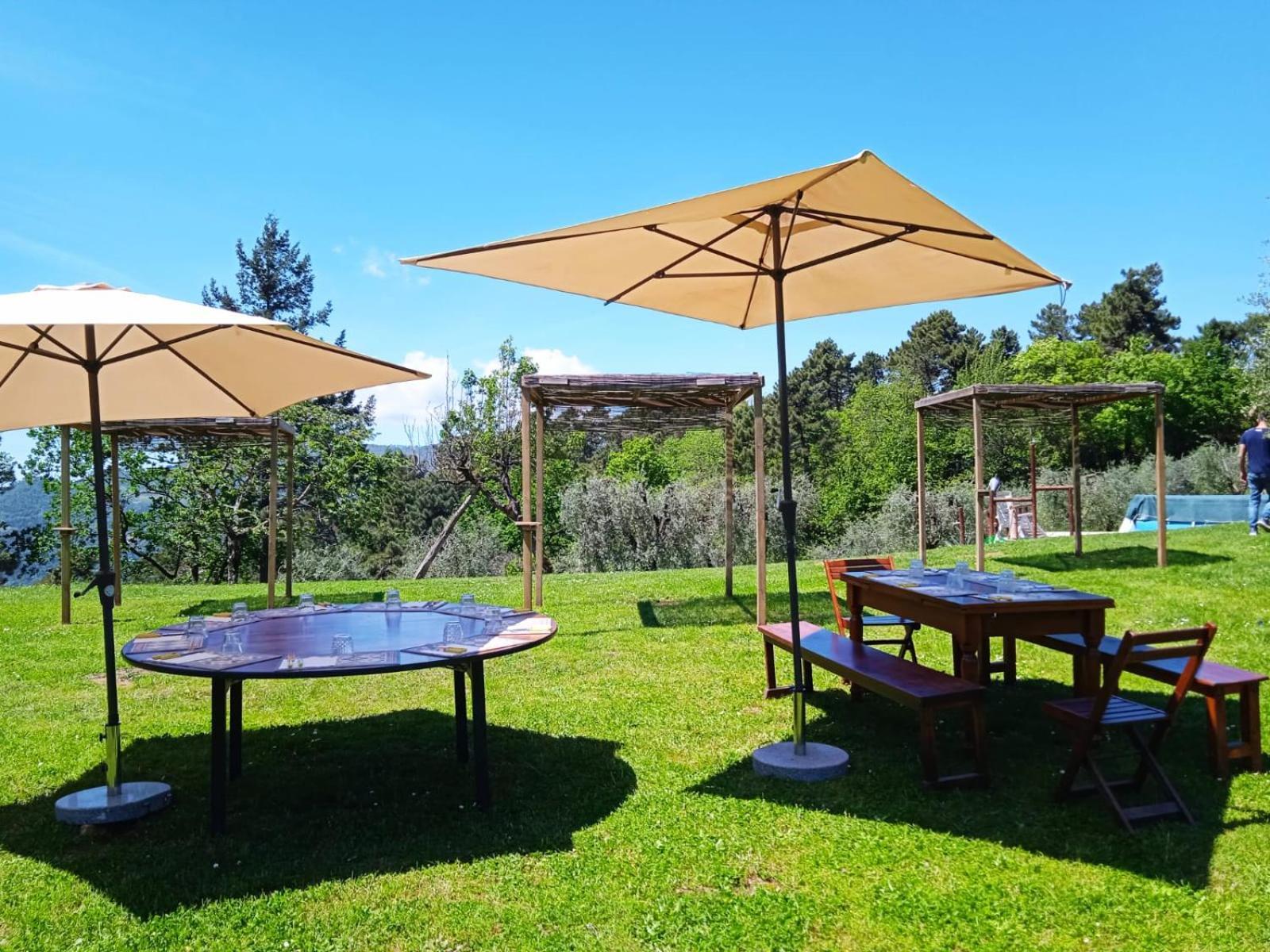 Massa e Cozzile Agriturismo Da Nonna Argia מראה חיצוני תמונה