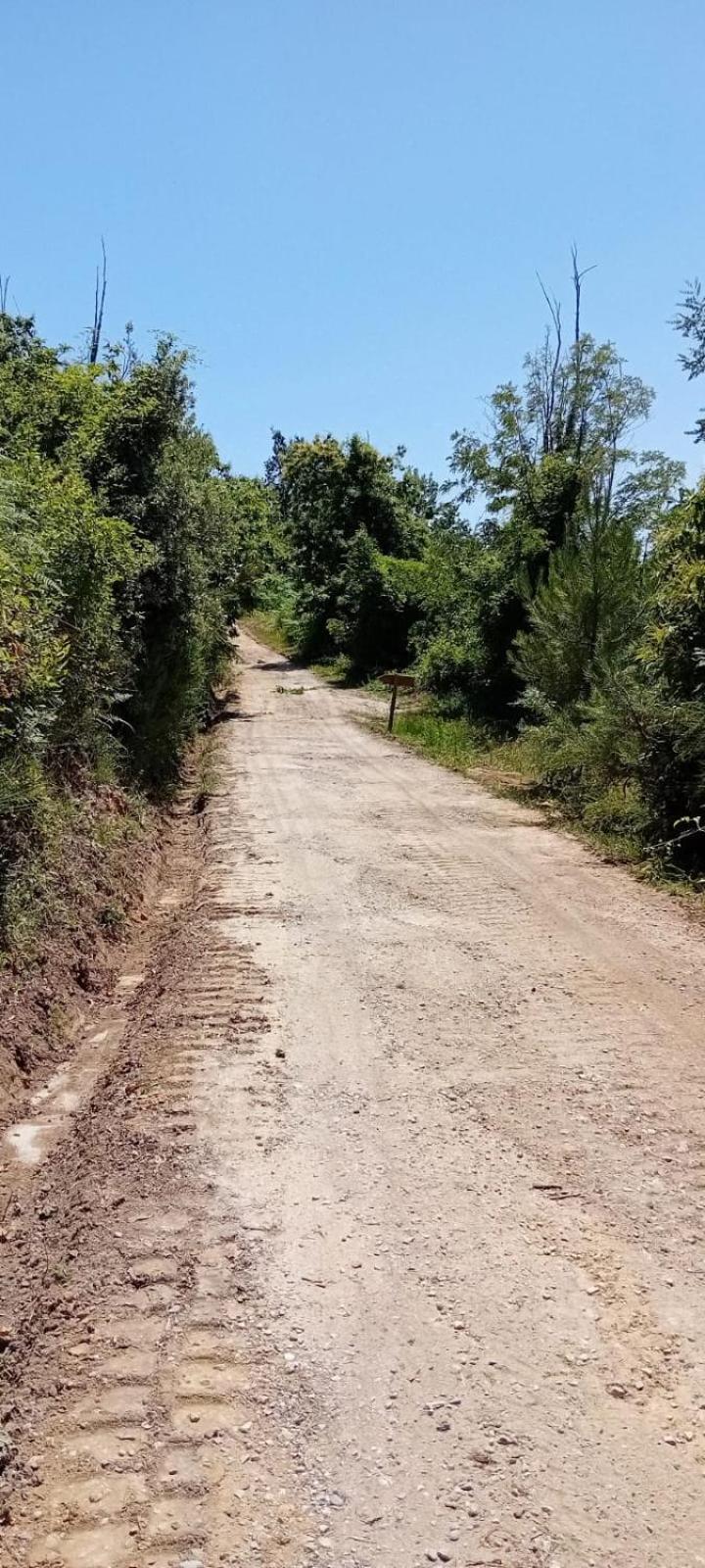 Massa e Cozzile Agriturismo Da Nonna Argia מראה חיצוני תמונה
