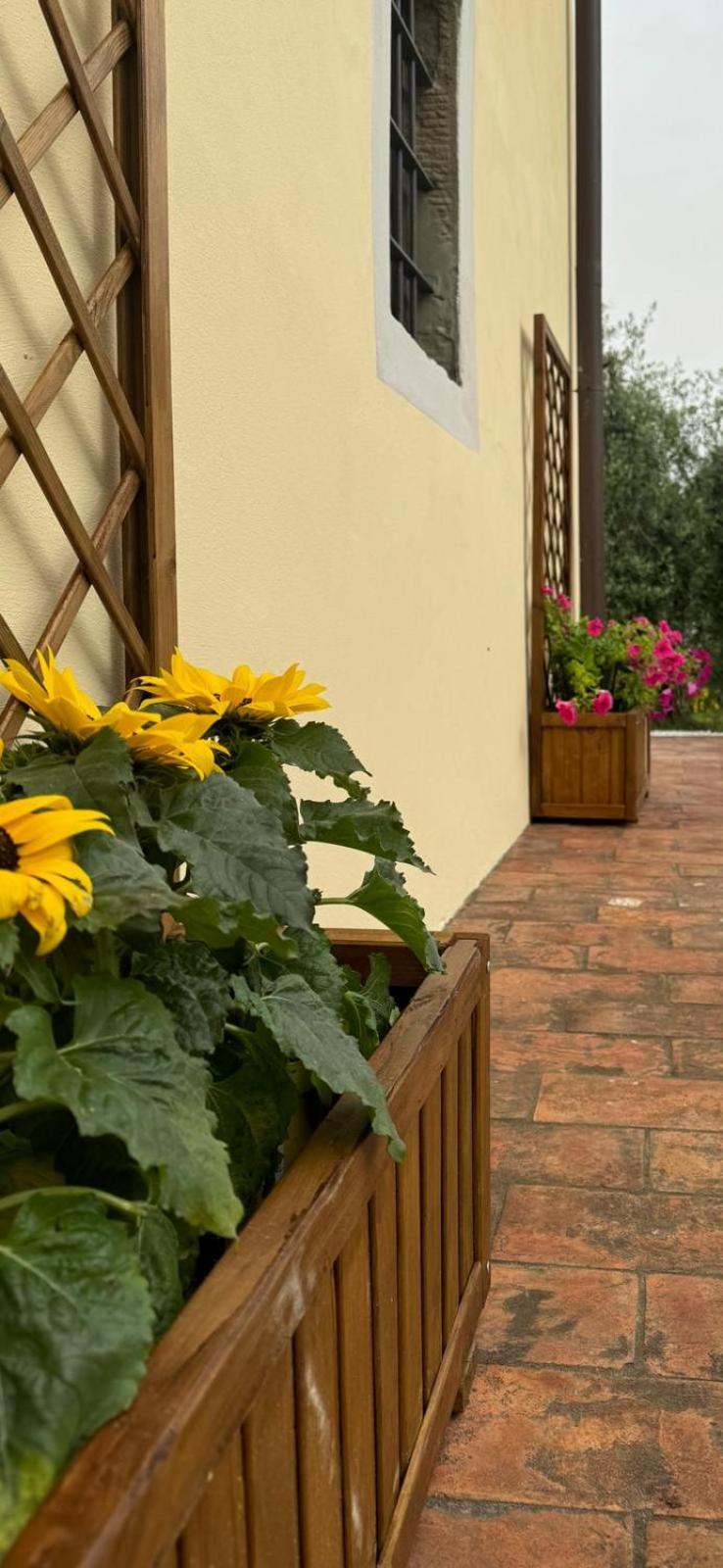 Massa e Cozzile Agriturismo Da Nonna Argia מראה חיצוני תמונה