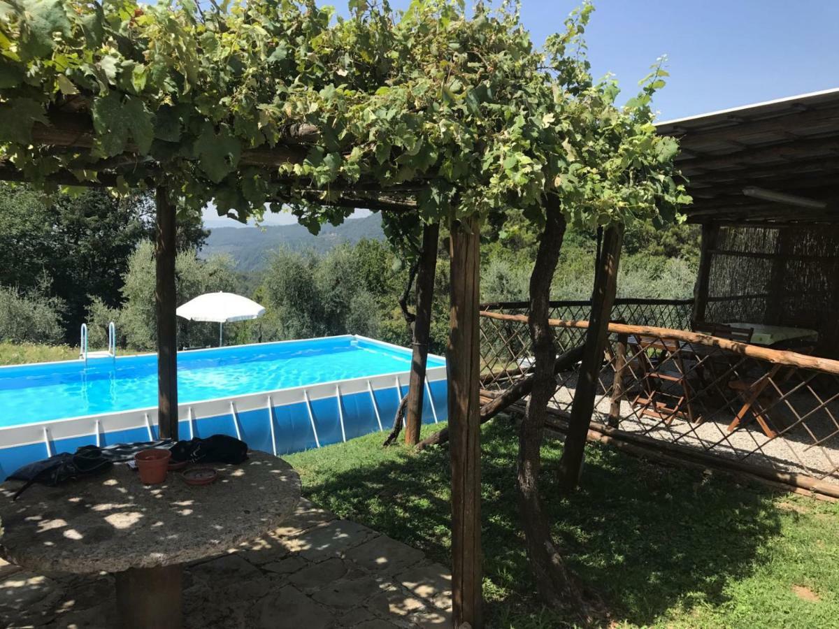 Massa e Cozzile Agriturismo Da Nonna Argia מראה חיצוני תמונה